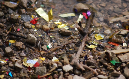 Creek Confetti